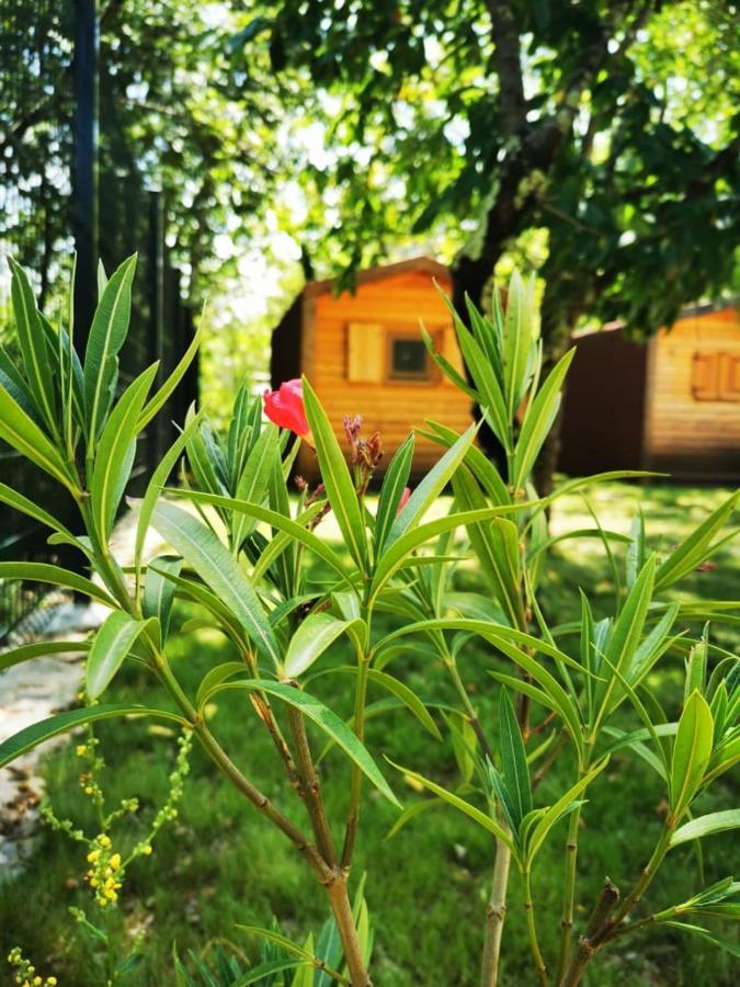 Krasen Kras 104 Resort Komen Kültér fotó