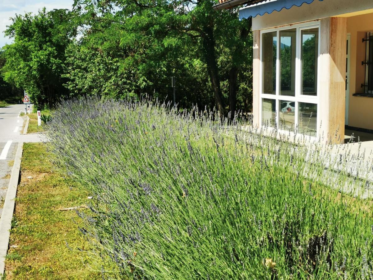 Krasen Kras 104 Resort Komen Kültér fotó